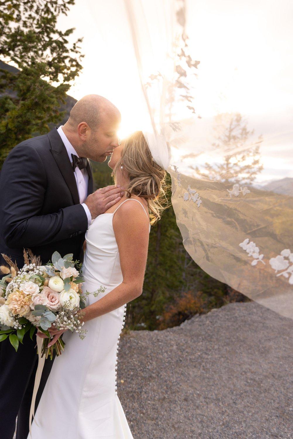 carousel-hero-element image-1